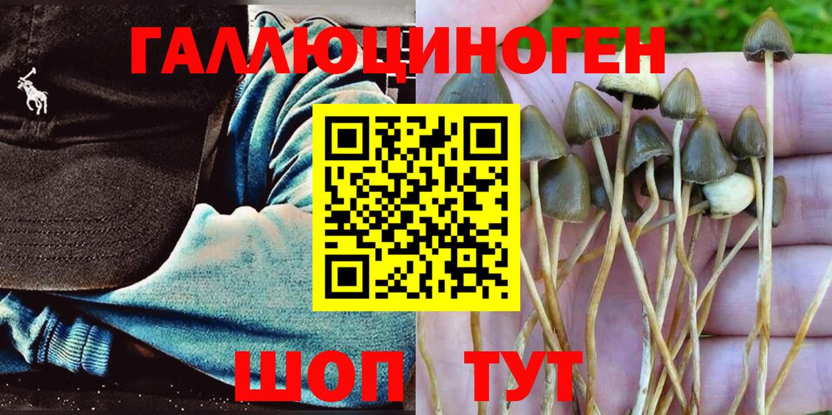 Псилоцибиновые грибы Psilocybe  Вход с VPN  Джанкой  Галлюциногенные грибы Psilocybe 